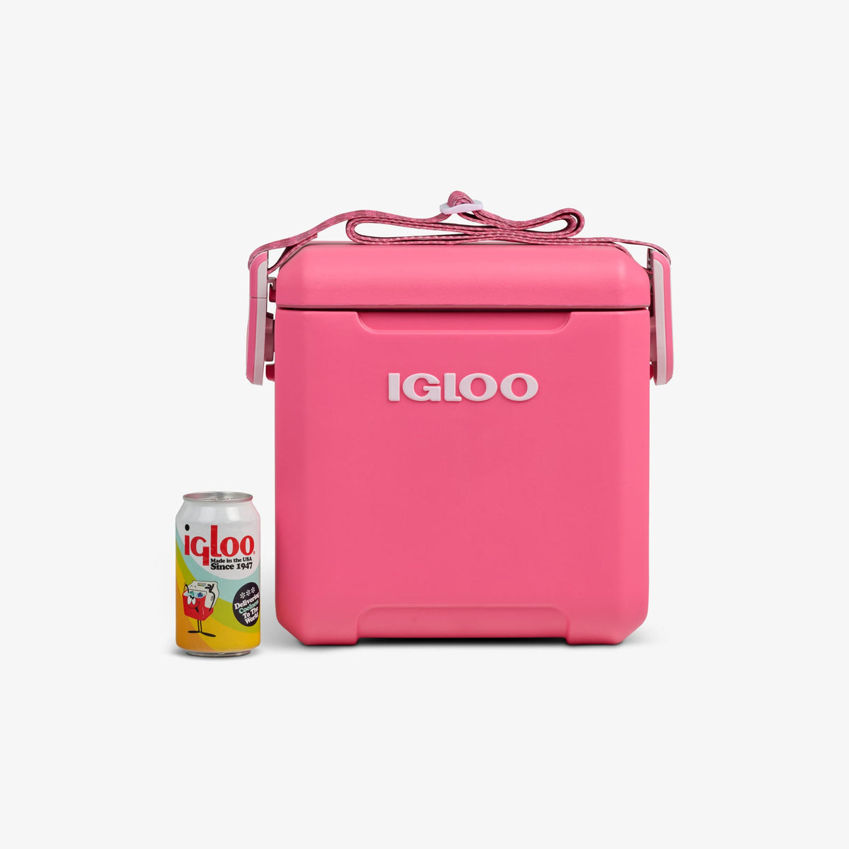 tag-along-too-remix-cooler-s9 00033199-P_861a5cd2-f15c-4217-a471-e33cc3890d9e.jpg