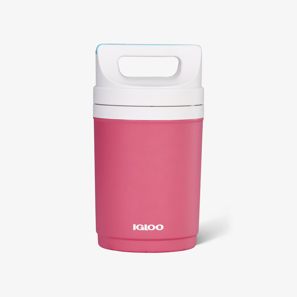 retro-playmate-half-gallon-jug-i9 00070862-F.jpg
